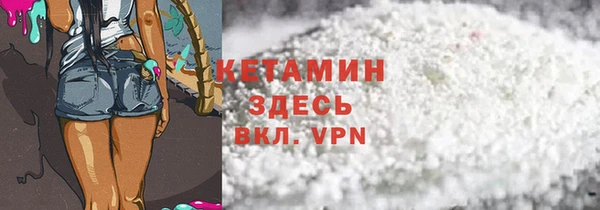 прущие грибы Абаза