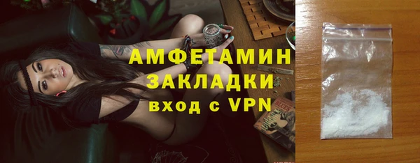прущие грибы Абаза