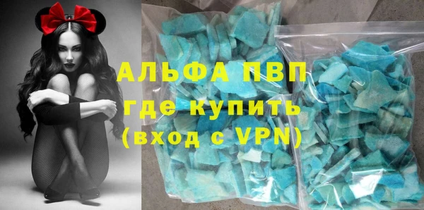 прущие грибы Абаза