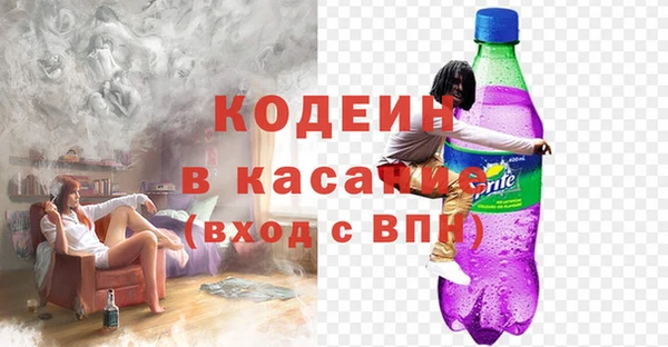прущие грибы Абаза
