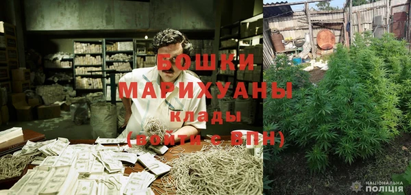 прущие грибы Абаза